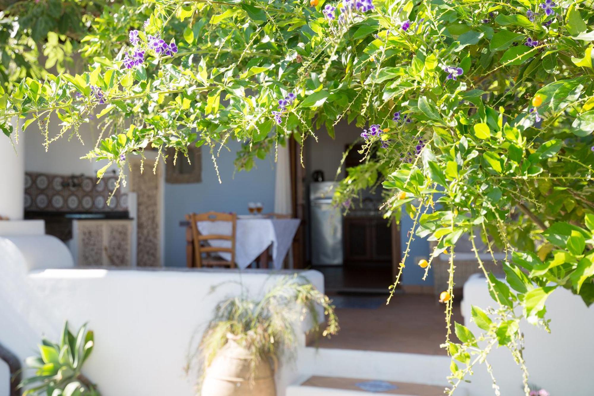 Villa Agrumeto Lipari  Eksteriør billede